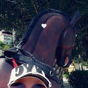 ���������� ������, ���� ������� ����, 53 ����, ������������ ��� c�������� ���������