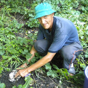 ���������� ������, ���� ������� ������, 55 ���, ������������ ��� ������, ����� � ���������