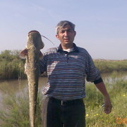  ,  Vuqar, 54