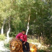 ���������� ���������, ���� ������� ���������, 49 ���, ������������ ��� ������, ����� � ���������, c�������� ���������