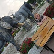 ���������� ����������, ���� ������� �����, 58 ���, ������������ ��� c�������� ���������