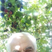  ,    , 80 ,   ,   , c 