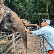 ���������� �����-���������, ���� ������� ��������, 35 ���, ������������ ��� ����� � ���������, c�������� ���������