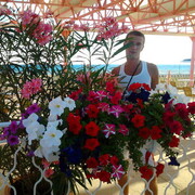 ���������� ���������, ������� �������, 42