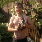 ���������� ������, ���� ������� �����, 38 ���, ������������ ��� ����� � ���������, c�������� ���������