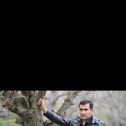 ���������� ����, ���� ������� Nihat, 41 ���, ������������ ��� ������, ����� � ���������
