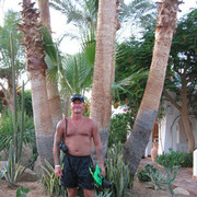  ,   , 54 ,  