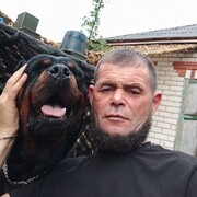  ,  , 41