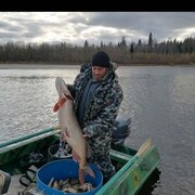 ���������� ������, ���� ������� ����, 40 ���, ������������ ��� ������, ����� � ���������