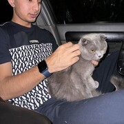 ���������� �������, ���� ������� �����, 27 ���, ������������ ��� ������, ����� � ���������