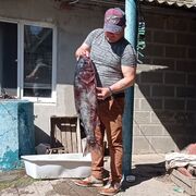  ,   , 58 ,   ,   , c , 