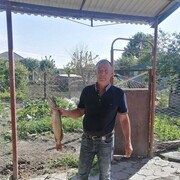  --,   , 52 ,   c 