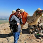 ���������� ���������, ���� ������� Shaxruz, 37 ���, ������������ ��� ���������