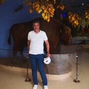  ,   , 53 ,   ,   , c , 