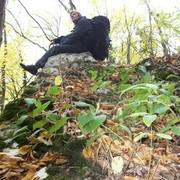 ���������� ����, ���� ������� �������, 45 ���, ������������ ��� ������