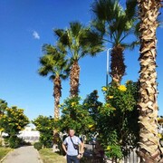  ,   , 46 ,   c 