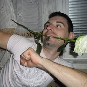 ���������� �����, ���� ������� Tema, 40 ���, ������������ ��� ����� � ���������, c�������� ���������