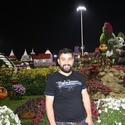 ���������� ������, ���� ������� ALIM, 40 ���, ������������ ��� ������, ����� � ���������