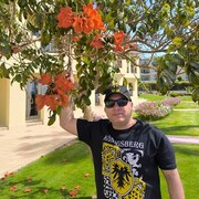 ���������� ������, ���� ������� ������, 45 ���, ������������ ��� ������, ����� � ���������, c�������� ���������, ���������