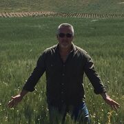  ,   Author, 61 ,   ,   