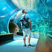 ���������� ������, ���� ������� ������, 30 ���, ������������ ��� ������, ����� � ���������, c�������� ���������, ���������