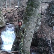 ���������� �����������, ���� ������� ������, 38 ���, ������������ ��� ������, ����� � ���������, c�������� ���������, ���������