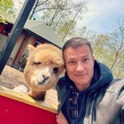 ���������� ���������, ���� ������� �����, 33 ����, ������������ ��� ������, ����� � ���������