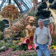 ���������� ������, ���� ������� Harry, 63 ����, ������������ ��� ������, ����� � ���������