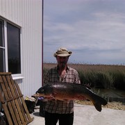  ,   , 56 ,   