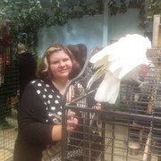 ���������� ������, ���� ������� ����, 40 ���, ������������ ��� ������, ����� � ���������, c�������� ���������