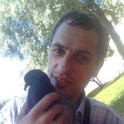  ,   Arteom, 48 ,   