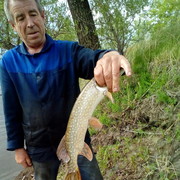  ,   , 67 ,  
