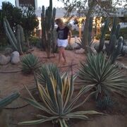 ���������� ������, ���� ������� ������, 60 ���, ������������ 