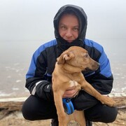 ���������� ������, ���� ������� ������, 39 ���, ������������ ��� ������, ����� � ���������, c�������� ���������, ���������