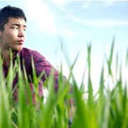 ���������� ������, ���� ������� �����, 32 ����, ������������ ��� ������