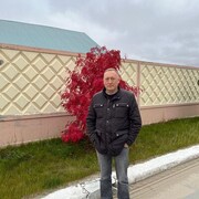   ,   , 55 ,   ,   
