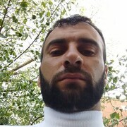  ,  Suret, 31