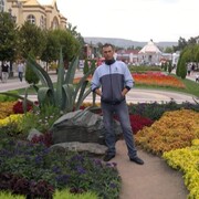  ,   , 41 ,   ,   