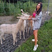 ���������� �����-���������, ���� ������� �����, 32 ����, ������������ ��� ����� � ���������, c�������� ���������