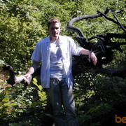 ���������� ����, ���� ������� ���������, 38 ���, ������������ ��� ������