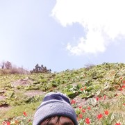 ���������� �������, ���� ������� Ermaxan, 32 ����, ������������ ��� ������, ����� � ���������, c�������� ���������