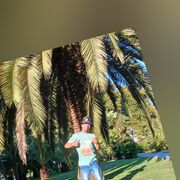 ���������� �����, ���� ������� �������, 38 ���, ������������ ��� ����� � ���������, c�������� ���������, ���������