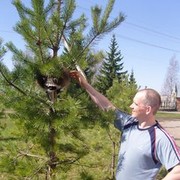  ,   , 47 ,   ,   , c 