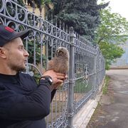  ,   Ѹ, 35 ,   ,   