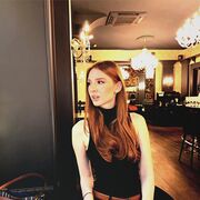 ���������� ������������, �����