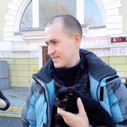 ���������� ���������, ���� ������� ����, 40 ���, ������������ ��� ������, ���������