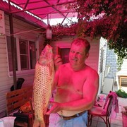  ,   , 47 ,   ,   