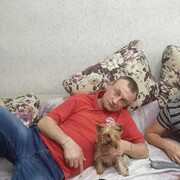 ���������� ������������, ���� ������� �������, 48 ���, ������������ ��� ������, ����� � ���������, c�������� ���������