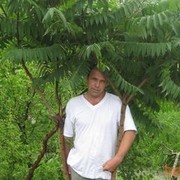  ,   , 53 ,   