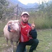  ,   , 37 ,   c , 